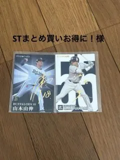 Item thumbnail for item 89697347-b6ac-4918-a6ce-eeff7d1bf956