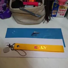 三代目J Soul BrothersELLYさんマルチストライプキーホルダー新品