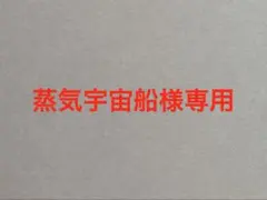 色紙２枚　専用