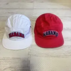 Item thumbnail for item 07695f13-47b6-45d1-9bfd-43b6f096ab78