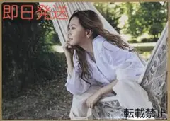 Item thumbnail for item 528231c5-6da6-4122-985c-9fb72a010a41