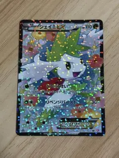 シェイミex シャイニーコレクション