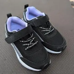 Item thumbnail for item 1b174e02-f1ff-48a4-b11d-c6d58f614234