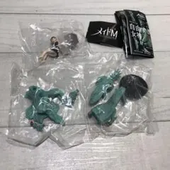 パンダの穴 自由すぎる女神 2種 メイドM 1種 3点セット 新品未開封品