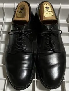 Alden 53511 コードバン モディファイド プレーントゥ 8D ツリー付