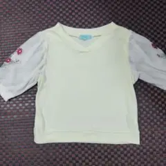Lindsay リンジィ 花柄刺繍 シースルー袖 Tシャツ Mサイズのサムネイル