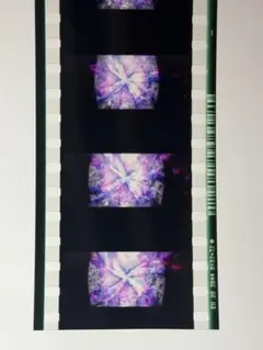 まどマギ コマフィルム 特典