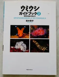 2025年最新】ウミウシ図鑑の人気アイテム - メルカリ