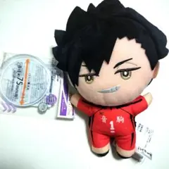 ハイキュー 黒尾鉄朗 みにコレ ぬいぐるみ 2 BIGぬいぐるみ