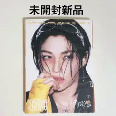 未開封新品◆スキズ KARMA アコーディオン フィリックス