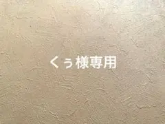 ゆきんこ様専用・*:.ღパラコードスマホストラップ - メルカリ