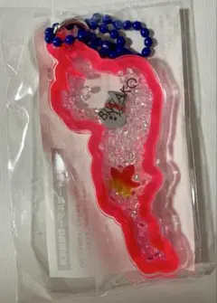 琵琶湖キーホルダー 比叡山　延暦寺　ピンク