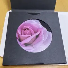 クレドポーボーテ シナクティフSYNACTIF トライアルセット 2日分