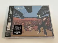 ケミカル・ブラザーズ/サレンダー