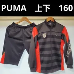 子供服 ジャージ プーマ 上下 セット 160 グレー×オレンジ