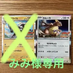 コロコロイチバン！ポケモンファン　ガルーラ