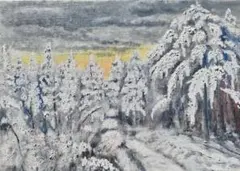 美品】藤田はるか写真集「torikumo」屏風絵 日本画 花鳥風月 四季 自然