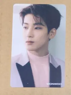 SEVENTEEN ひとりじゃない トレカ HMV ウォヌ