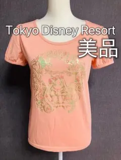 Disney 限定　ディズニーリゾート　ラプンツェル　半袖Tシャツ　美品　L