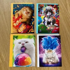 未使用　猫バースデーカード　４枚セット USA 誕生日カードD 送料込み
