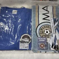 日韓ワールドカップ アルゼンチンvsイングランド 観戦チケット＋グッズ