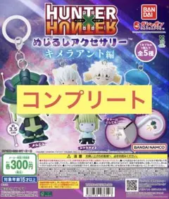 HUNTER×HUNTER めじるしアクセサリー　キメラアント編　コンプリート