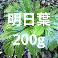 Item thumbnail for item 309dab9a-83ae-42c1-9afb-221d959b4d42