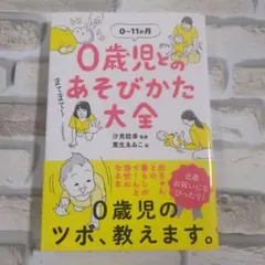 【極美品】0歳児とのあそびかた大全