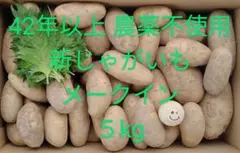 アド様専用 新じゃがいも メークイン 訳有 5kg 42年以上 リ200円引N8
