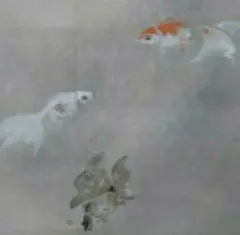 掛け軸/金魚 金魚 山田泰二 （尺五立）肉筆！ 夏 - 掛け軸（掛軸）販売通販