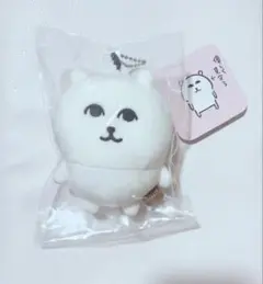 ナガノキャラクターズ　ナガノのくま　優しく見守るマスコット