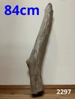 大型　流木【2297】