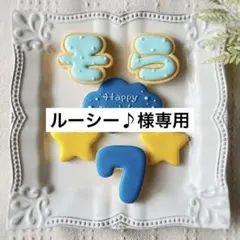 《ルーシー♪様専用アイシングクッキー》誕生日 happy birthday