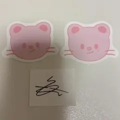 スキズ ペンミ SKZOO コンフェッティ 落下物 サイン ジニレット