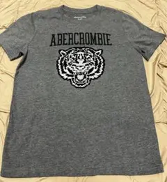 アバクロンビーキッズ　Tシャツ　スパンコールで色が変化