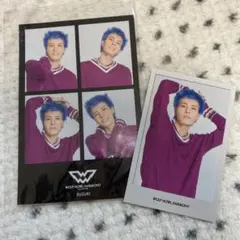 WOLF HOWL HARMONY SUZUKI トレーディングカードセット