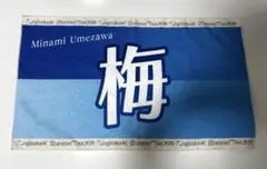 乃木坂46 - 乃木坂46 富里奈央 個別マフラータオル 10thバスラ限定 2025年最新】冨里奈央 タオルの人気アイテム - メルカリ