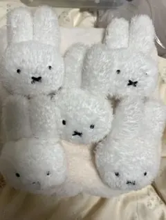 Item thumbnail for item 6633815d-6434-4f92-8c61-596cc60f280a