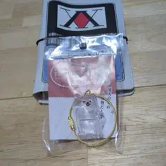 わんこのタイムカプセル　モカ