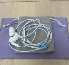 【価格相談可です】Lightningコネクタ イヤフォン 収納袋付き