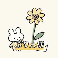 ぷりん様 リクエスト 2点 まとめ商品