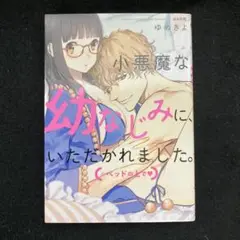 小悪魔な幼なじみに、いただかれました。