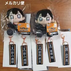 ハイキュー　タイトーくじ　影山飛雄　C賞　お座りマスコット／G賞　フライトタグ