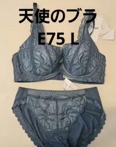 Item thumbnail for item 4f2d1938-efaa-403f-a384-bfa7c7443301