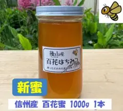 【新蜜】 百花蜜 1000g 1本 長野県産 国産蜂蜜 セイヨウミツバチのサムネイル