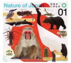 Nature of Japan 日本のいきもの01　伊勢海老のサムネイル