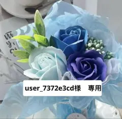 user_7372e3cd様 リクエスト 3点 まとめ商品