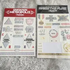 三代目 タトゥーシール 登坂広臣 今市隆二 岩田剛典 他