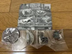 モンスターハンター ジンオウガ亜種 モンスターハンター捕獲し隊　亜種希少種