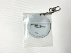 SEVENTEEN RIGHT HERE カバーキーリング　DINO